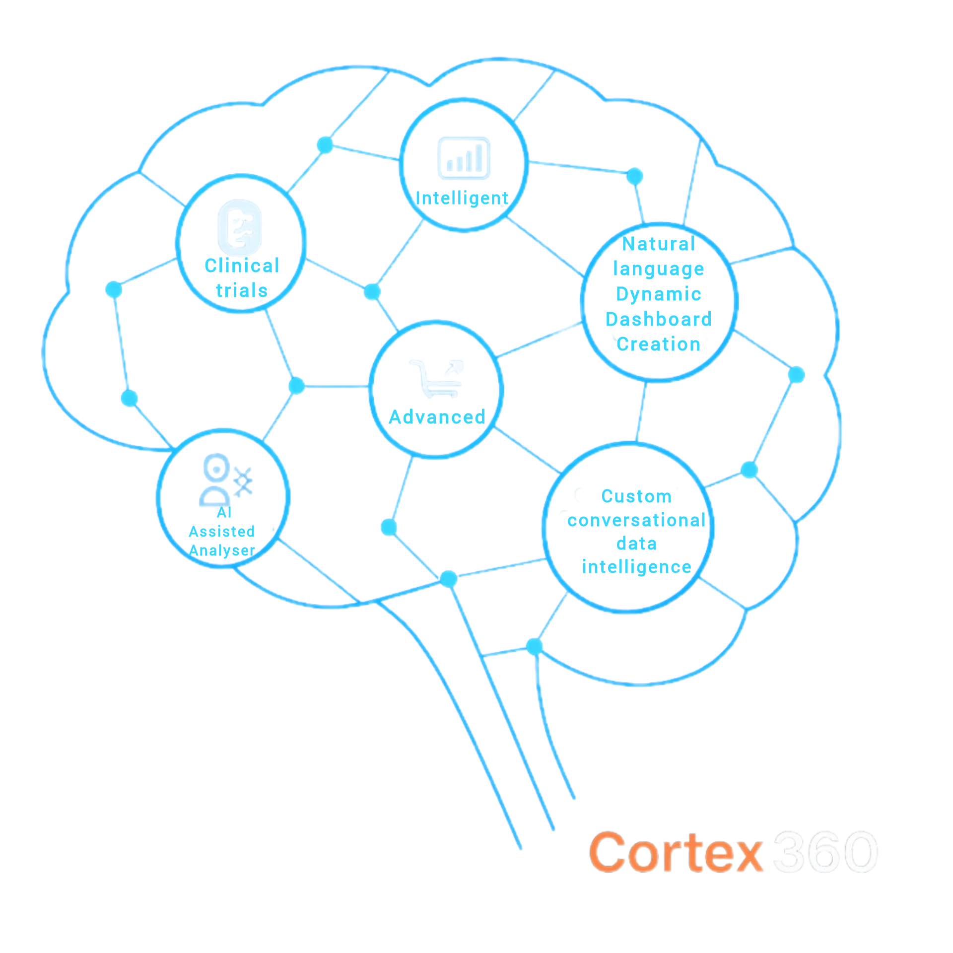 Cortex 360 Brain Chart